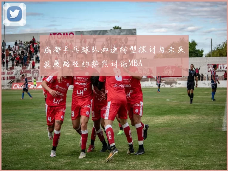 成都乒乓球队加速转型探讨与未来发展路径的热烈讨论MBA