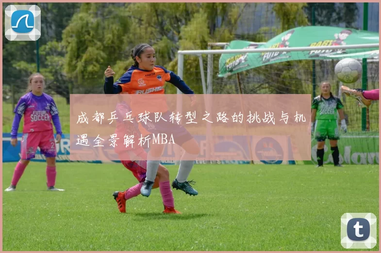 成都乒乓球队转型之路的挑战与机遇全景解析MBA
