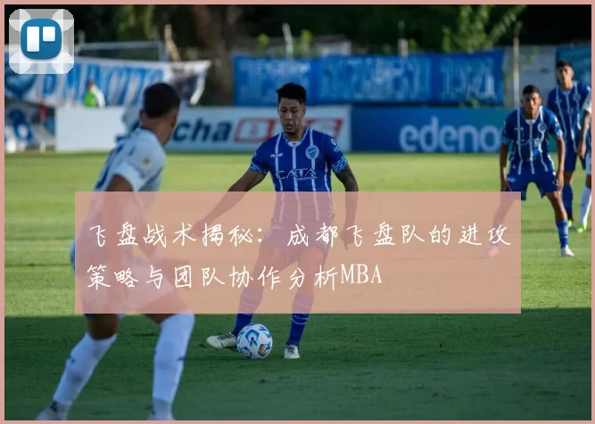 飞盘战术揭秘：成都飞盘队的进攻策略与团队协作分析MBA