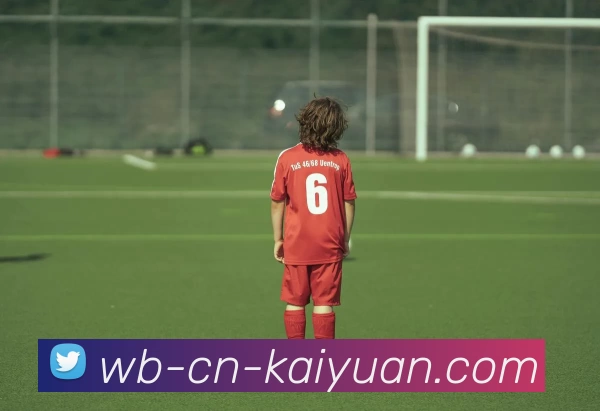 ky开元官网平台生态图