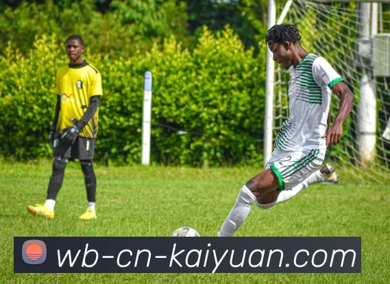 ky开元官网服务体系