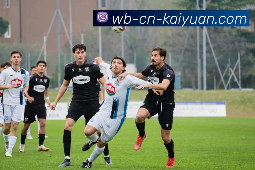 ky开元官网APP 封面图